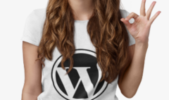 wordpress8.3